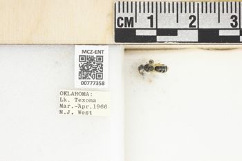 Media type: image;   Entomology 777358 Aspect: Labels
